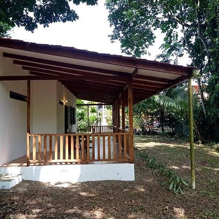 Green Papaya Villa Puerto Viejo de Talamanca Exteriör bild