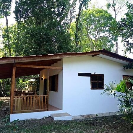 Green Papaya Villa Puerto Viejo de Talamanca Exteriör bild