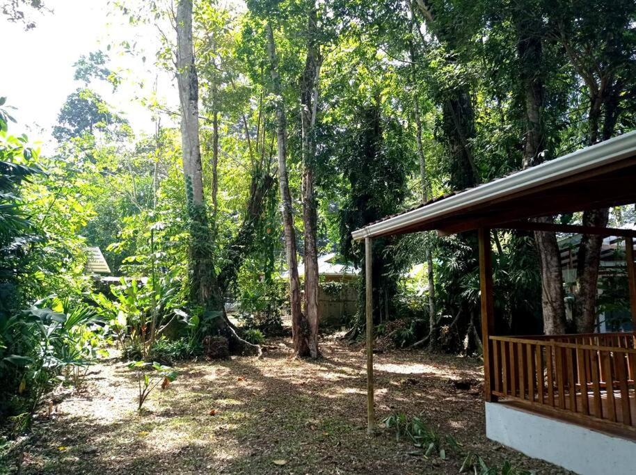 Green Papaya Villa Puerto Viejo de Talamanca Exteriör bild