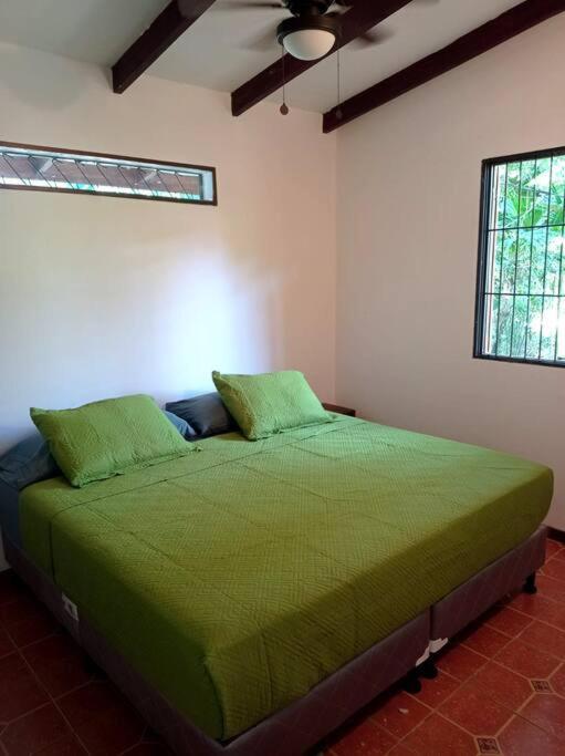 Green Papaya Villa Puerto Viejo de Talamanca Exteriör bild